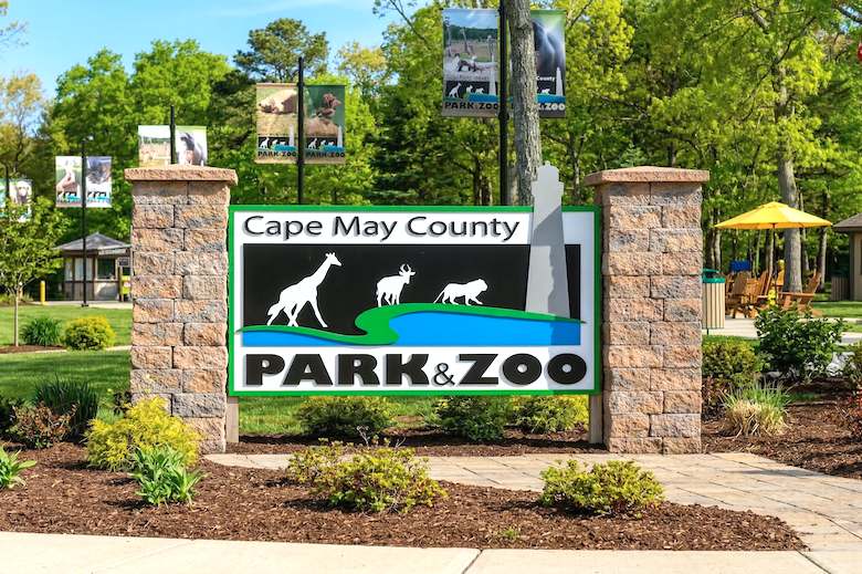 Things To Do Cape May County Zoo